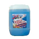 Dux Lavoclean 25L.webp