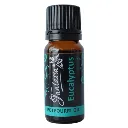 Fantasia Pot Pourri Oil Eucalyptus Single 10ML.webp