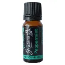 Fantasia Pot Pourri Oil Peppermint Single 10ML.webp