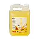 Dux Starfresh Citrus 2L.webp