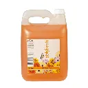 Dux Starfresh Peach 2L.webp
