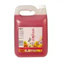 DUX STARFRESH CHERRY 5l