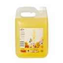 DUX STARFRESH CITRUS 5L