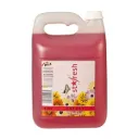 Dux Starfresh Cherry 2L