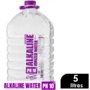 ALKALINE IONIZED WATER 5l